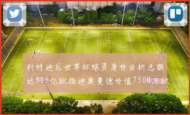 科特迪瓦世界杯球员身价分析总额达515亿欧扬迪奥曼德价值7500万欧