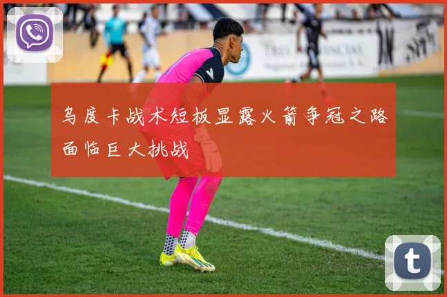 乌度卡战术短板显露火箭争冠之路面临巨大挑战